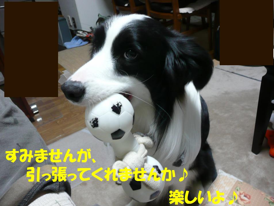 c0147241_19404631.jpg