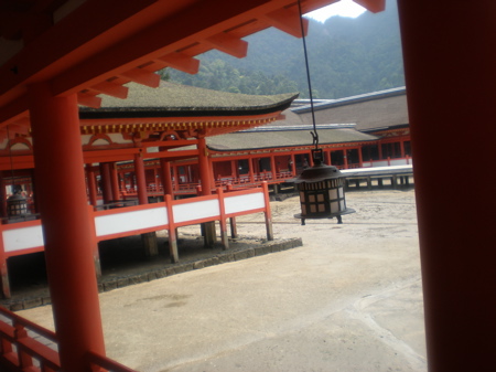 c0153444_815246.jpg