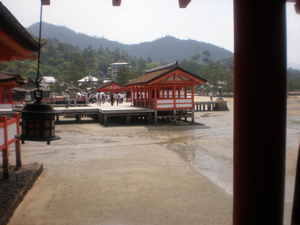 c0153444_8154143.jpg
