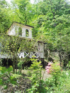 f0198346_19212673.jpg