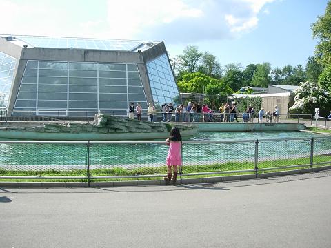 f0174549_4392747.jpg