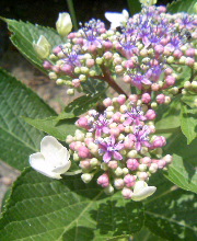 f0195549_12343535.jpg