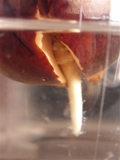 c0003752_83663.jpg