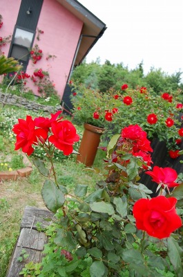 c0133653_1052644.jpg