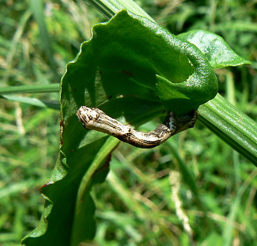 d0091754_23455975.jpg