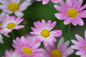 f0207754_1224087.jpg