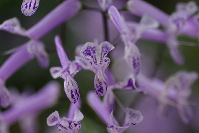 f0207754_122635.jpg