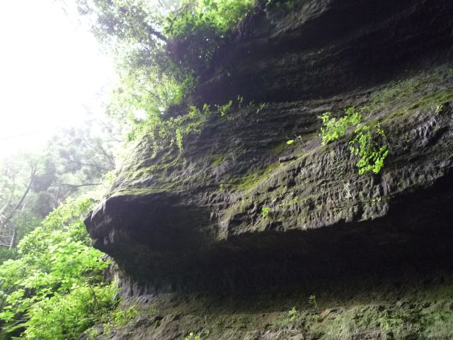 b0141664_1514211.jpg