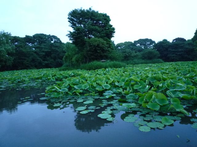 b0141664_1530222.jpg