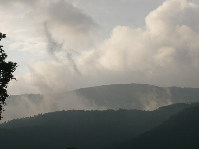c0100865_18262625.jpg