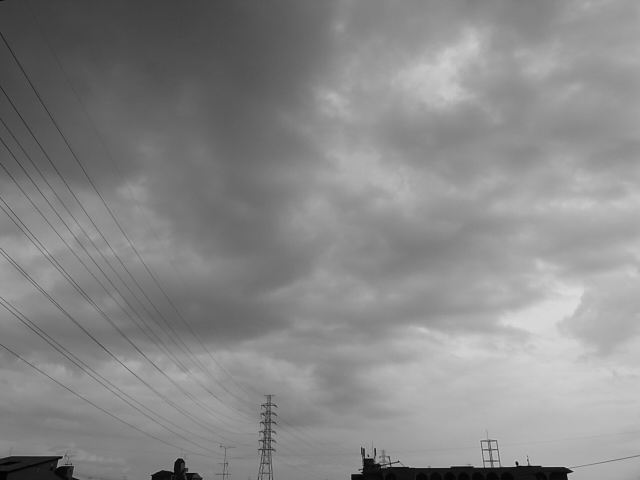 b0170369_0105551.jpg