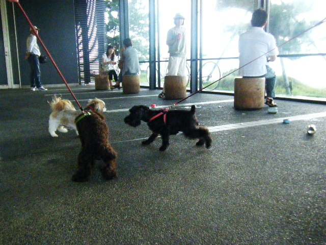 f0207970_8453641.jpg