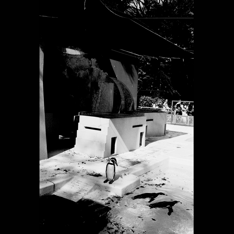 c0118173_23331477.jpg