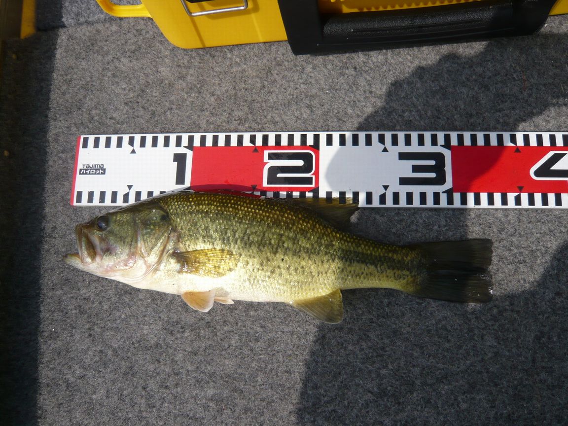 c0174373_20491419.jpg
