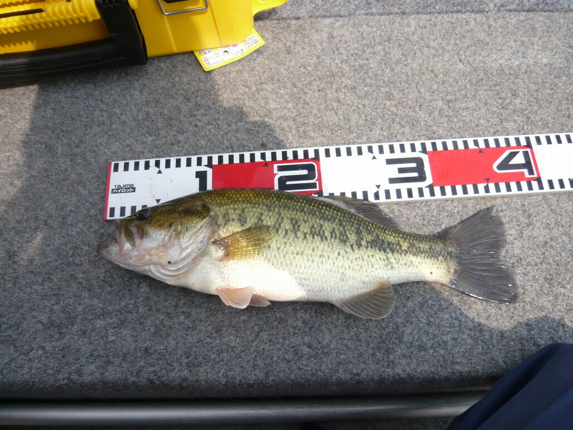 c0174373_21164068.jpg