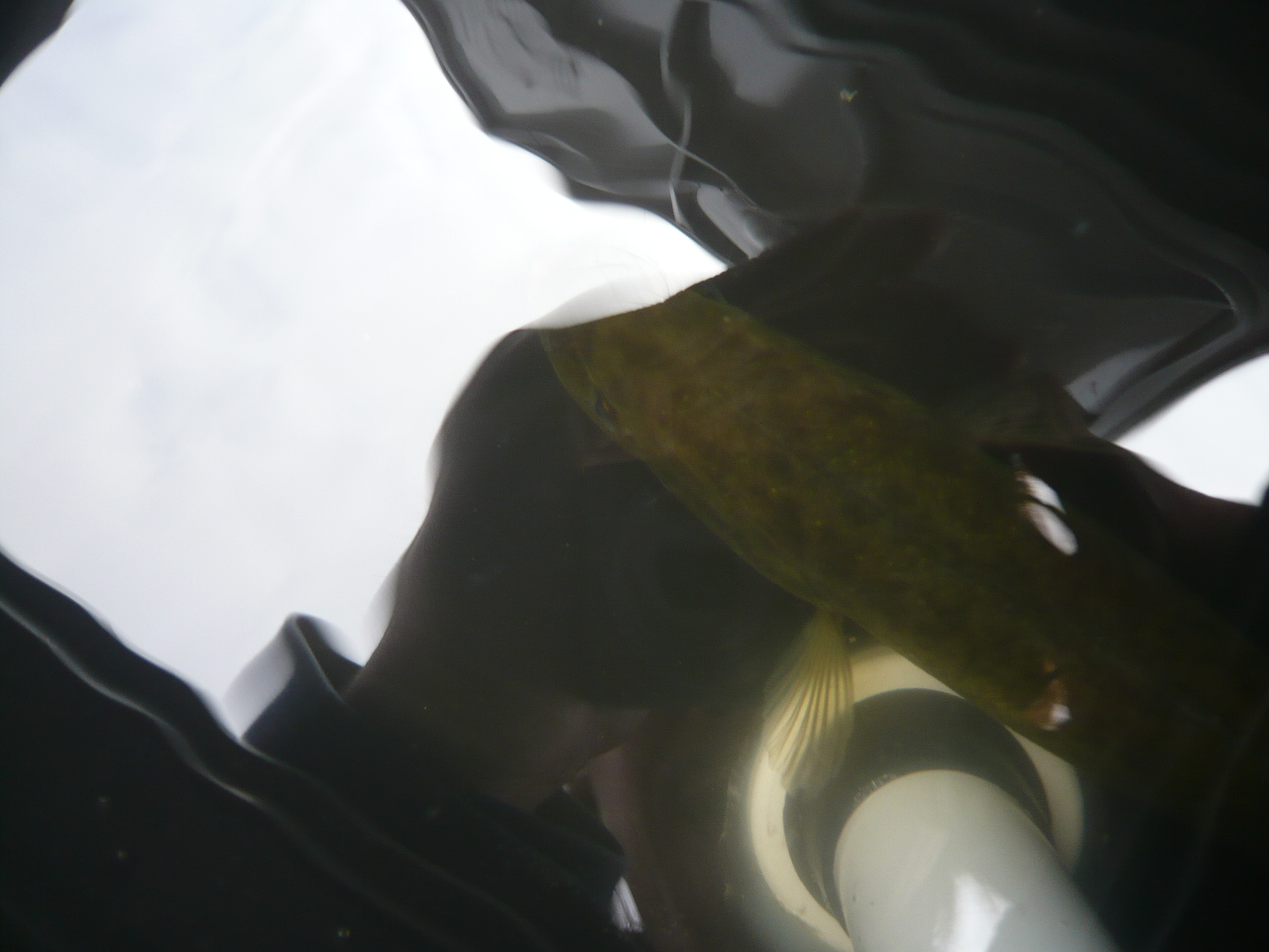 c0174373_2132010.jpg