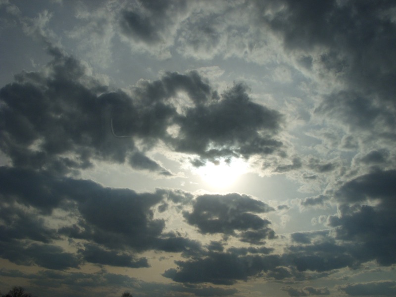 e0131473_1352100.jpg