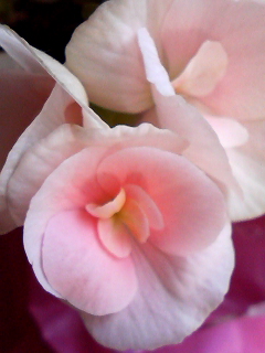 f0140174_22315124.jpg