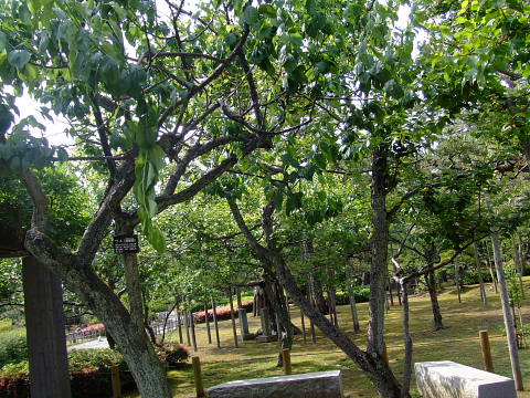 c0022275_21282971.jpg