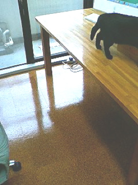 f0054677_8291139.jpg
