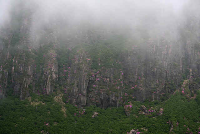 f0082181_8403681.jpg