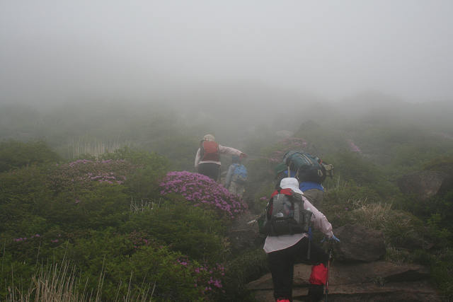 f0082181_911528.jpg
