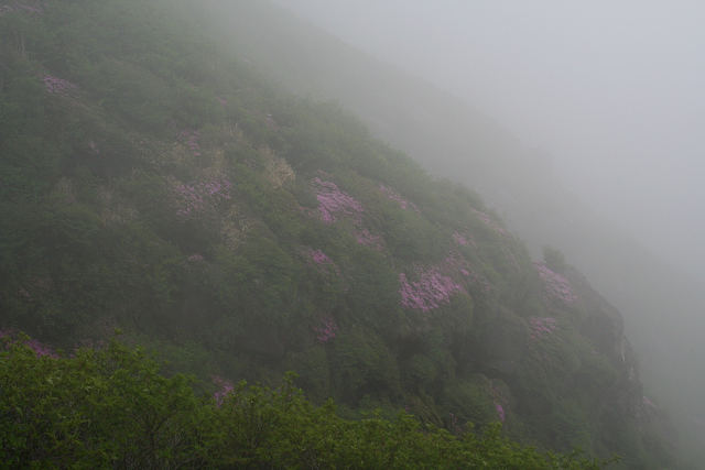 f0082181_920512.jpg
