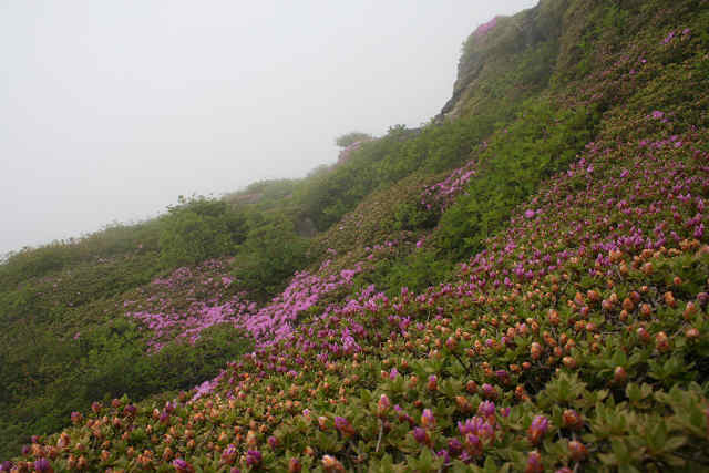 f0082181_945577.jpg