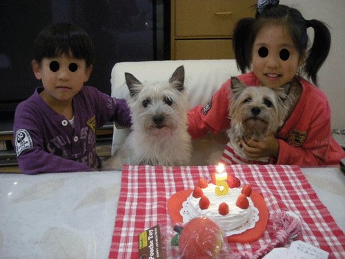 e0066883_22243441.gif