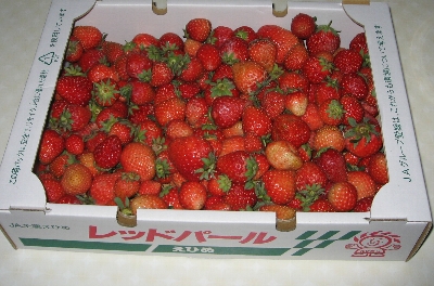 f0003283_6182573.jpg