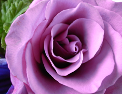 c0188784_2152289.jpg