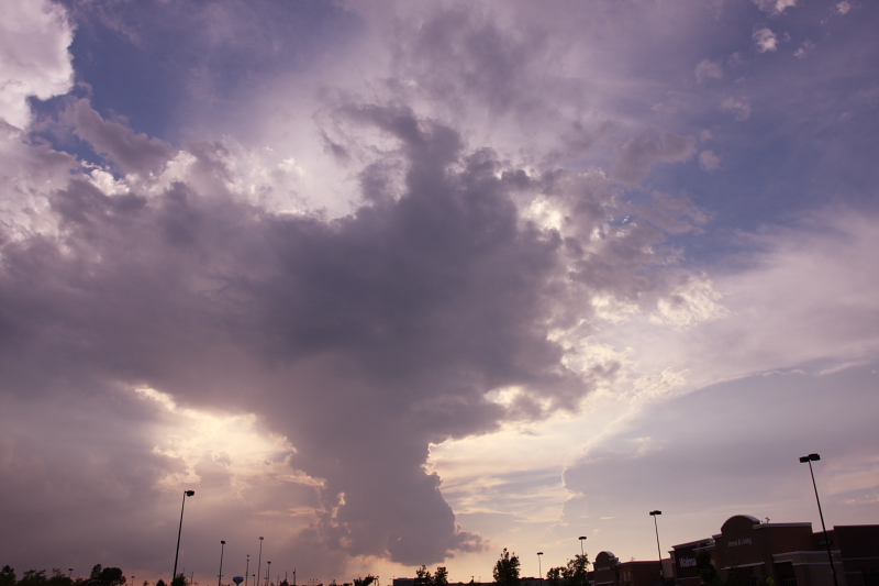 c0130986_8434276.jpg
