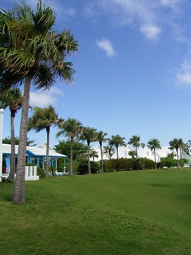 f0165392_222898.jpg