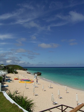 f0165392_226513.jpg