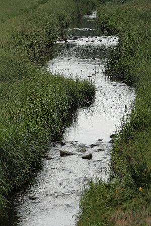 d0133693_18181394.jpg