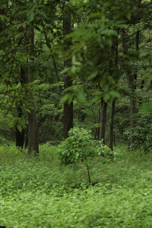 d0133693_18181856.jpg