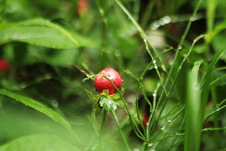 d0133693_18183598.jpg