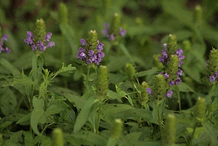 d0133693_18184142.jpg