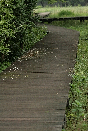 d0133693_18185132.jpg