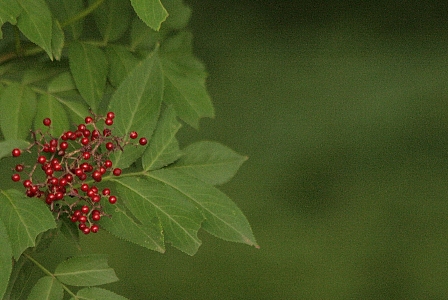 d0133693_1818571.jpg