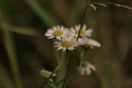 d0133693_18192373.jpg