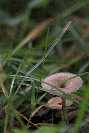 d0133693_18193190.jpg