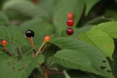 d0133693_18194469.jpg