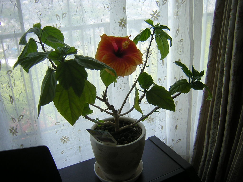f0181793_19184958.jpg