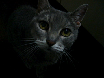 e0115994_22464753.jpg