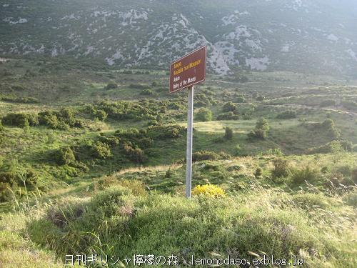 c0010496_3525872.jpg