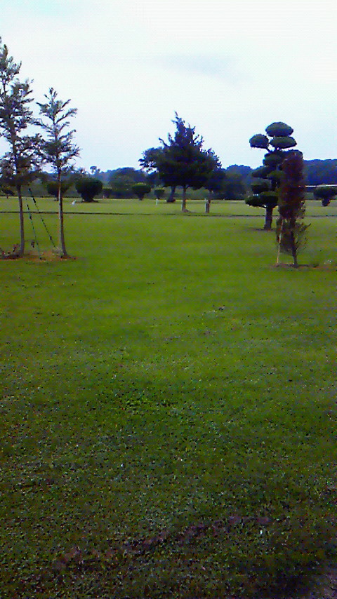 a0063997_1851640.jpg