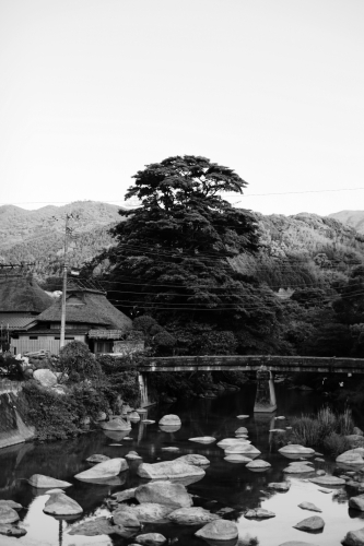 c0129498_23132032.jpg