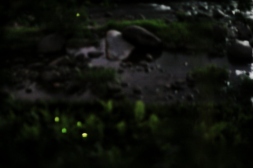 c0129498_2313690.jpg