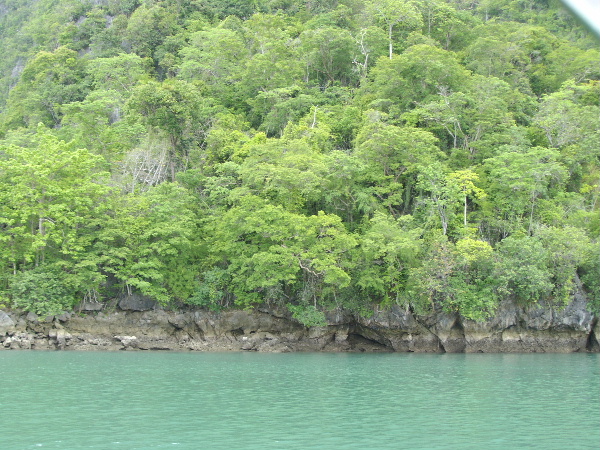 d0080998_22163614.jpg